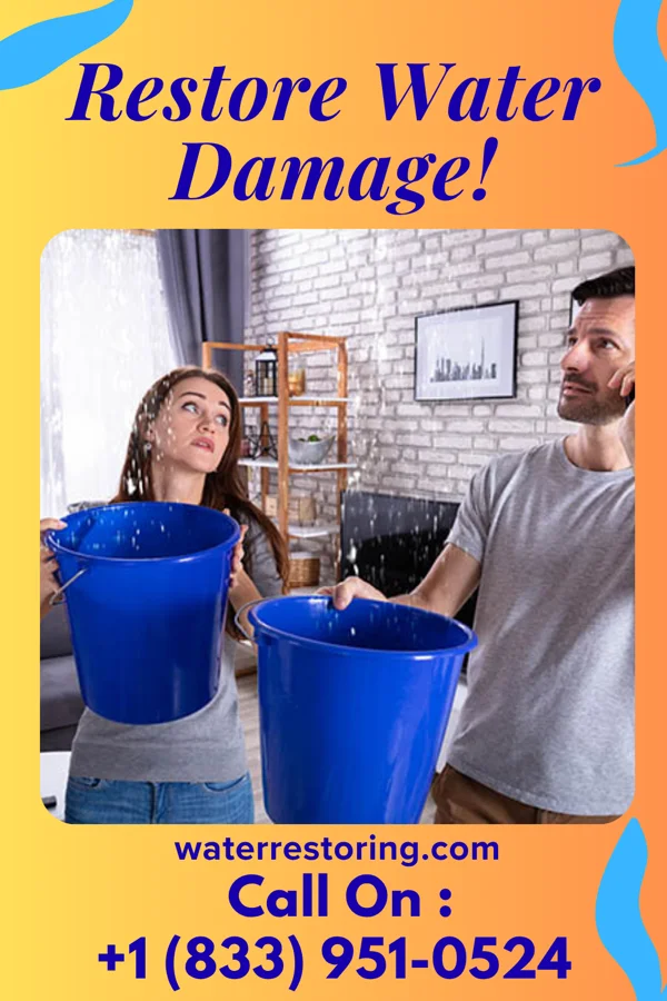 water restoration Solid Extraction Masters Blanche