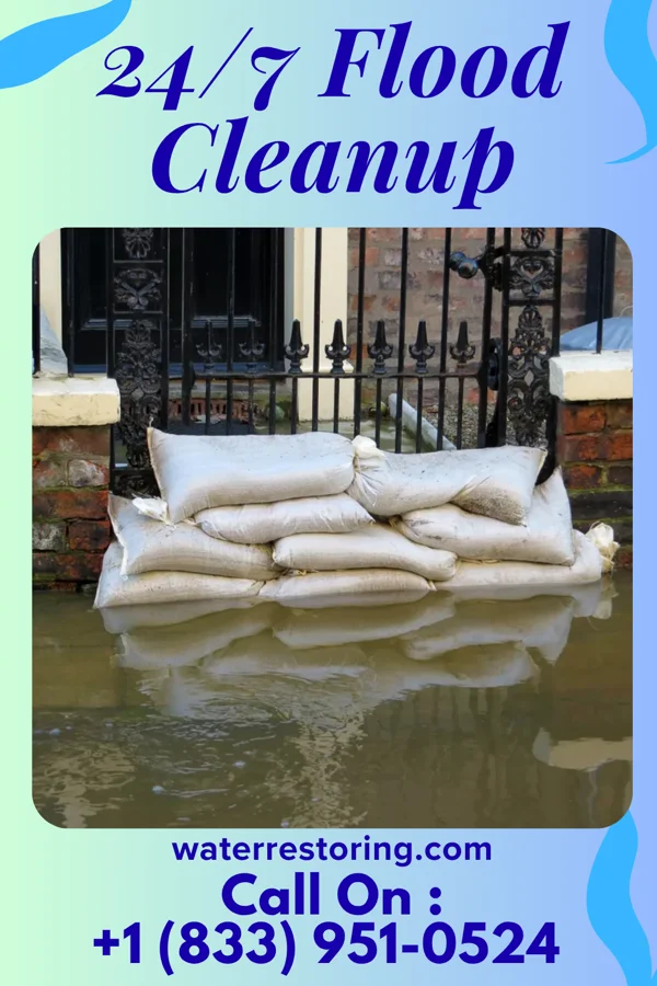 24/7 Flood Cleanup in Blanche, TN