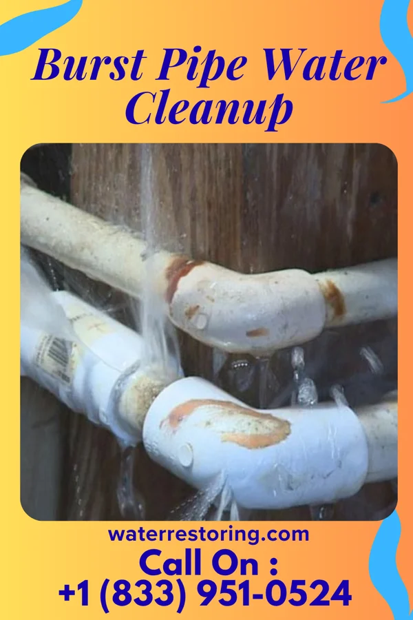 Burst Pipe Water Cleanup in Blanche, TN
