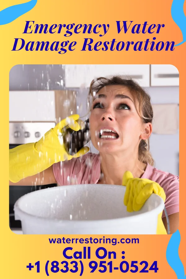 Emergency Water Damage Restoration in Blanche, TN