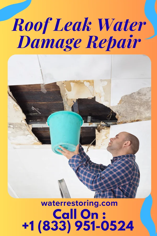 Roof Leak Water Damage Repair in Blanche, TN