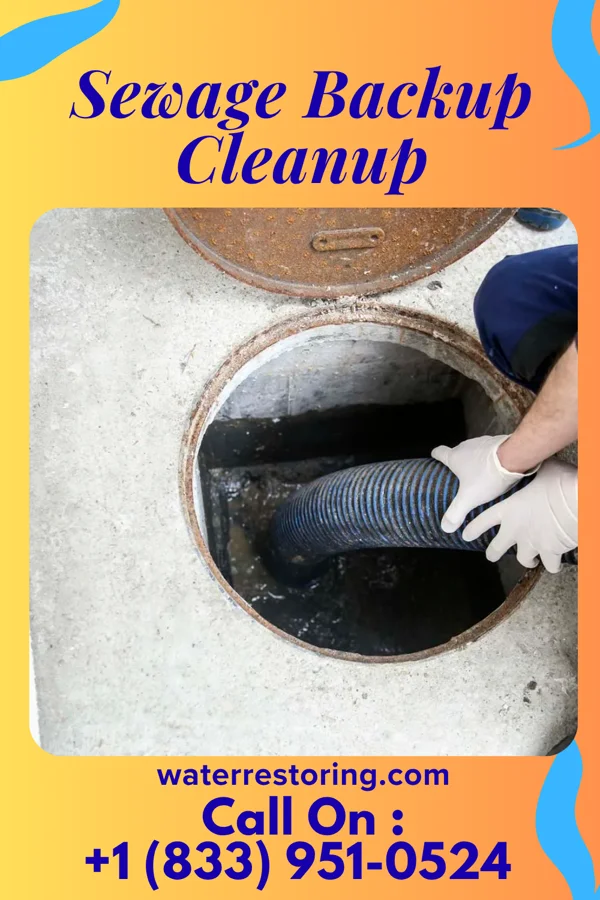 Sewage Backup Cleanup in Blanche, TN