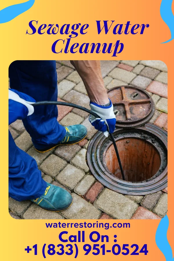 Sewage Water Cleanup in Blanche, TN